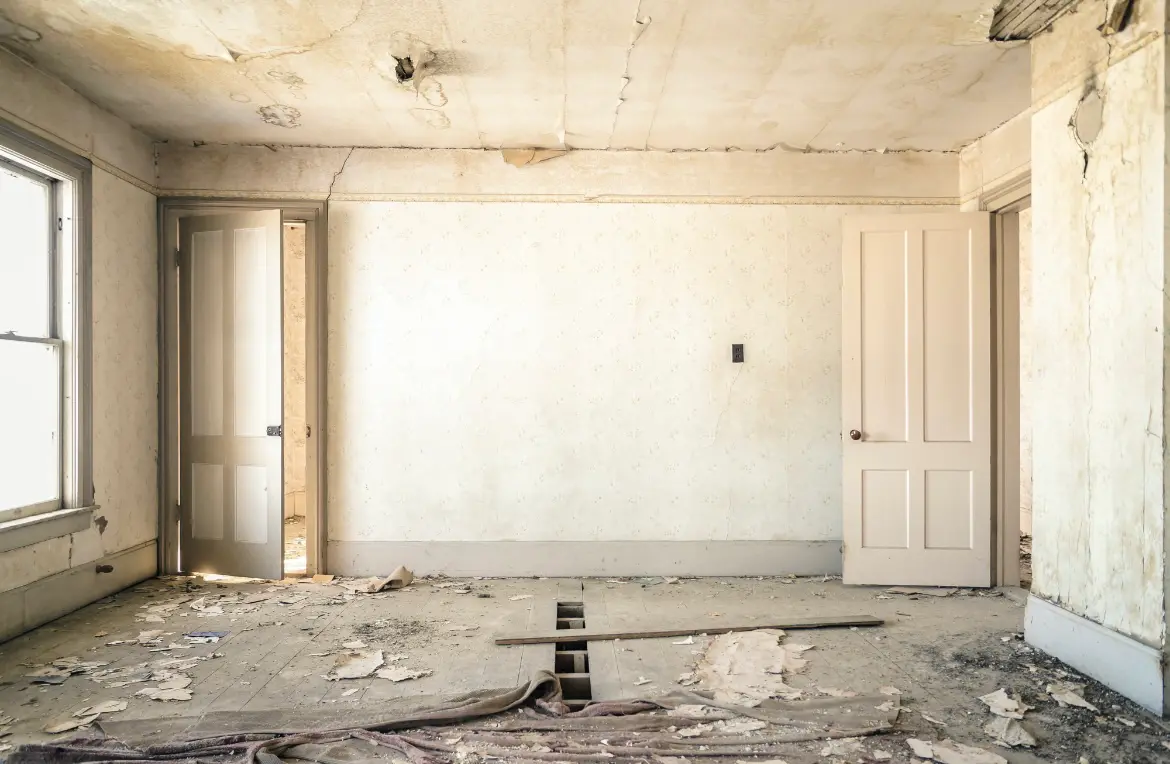 Waste disposal crew managing a cleanout project in Dade City North